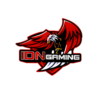 IDN Gaming
