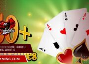 Download game kartu solitaire gratis versi terbaru untuk Android 10 Download game kartu solitaire gratis versi terbaru untuk Android