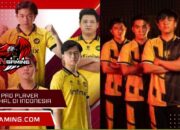Harga Pro Player Termahal di Indonesia MLBB Tahun 2025