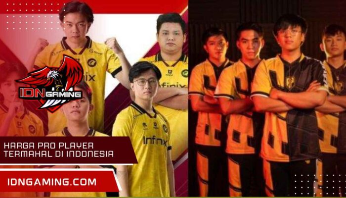 Harga Pro Player Termahal di Indonesia MLBB Tahun 2025