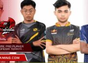 Nickname pro player ml indonesia terkini dan terkeren.