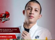 Nama Pro Player ML Dunia Terbaik & Terpopuler Saat Ini