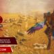 Spek minimum monster hunter wilds indonesia & Info Rilis