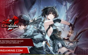 Cara Menggunakan WuWa Tracker untuk Gacha, Wajib Tahu!