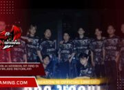 Kisah di Balik Kegagalan RRQ di MPL S16: Analisis Mendalam Kinerja Kisah di Balik Kegagalan RRQ di MPL S16: Analisis Mendalam Kinerja