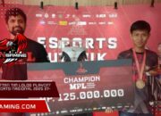 Inilah Daftar Tim Lolos Playoff Liga 1 Esports Nasional 2025 27-29 Nov Inilah Daftar Tim Lolos Playoff Liga 1 Esports Nasional 2025 27-29 Nov